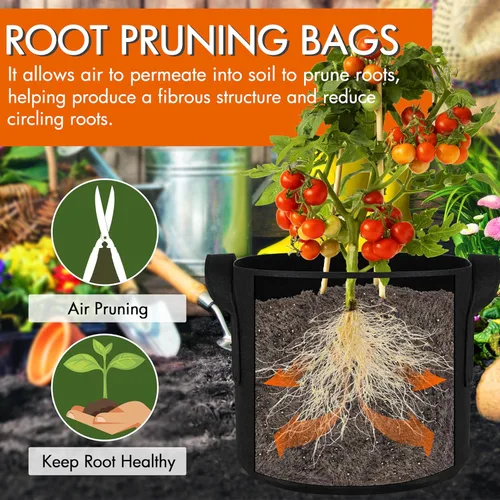 Miniatura 4 de Gardzen Paquete de 10 bolsas de cultivo de 1 galón, bolsas de cultivo de tela gruesa de 10.58 oz con asas, bolsas de cultivo de plantas de aireación