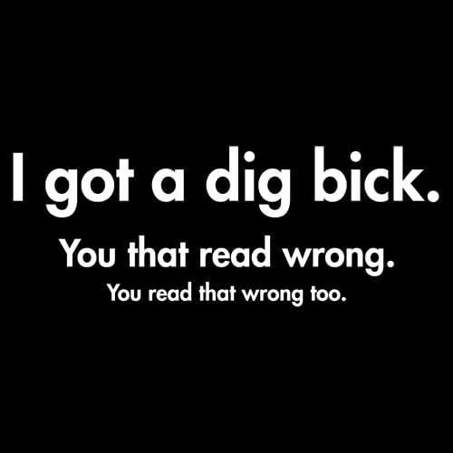 Miniatura 2 de Playera divertida con texto en inglés "I got a dig bick, you that read wrong", ofensiva, sarcástica