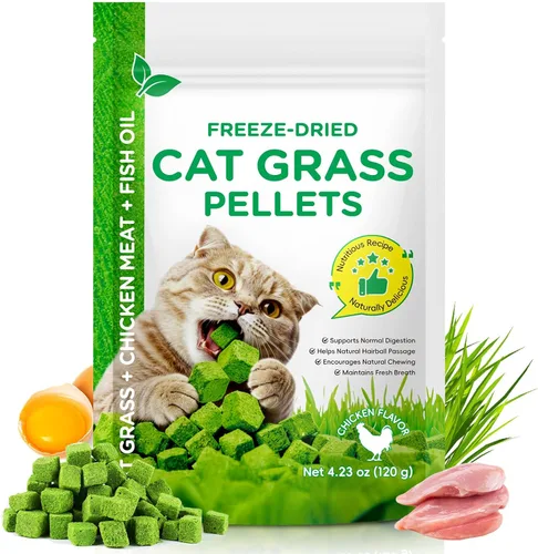 ISUNRISE Golosinas de hierba para gatos, aceite de pescado para gatos de interior, control de bolas de pelo y limpieza de dientes, comestible para