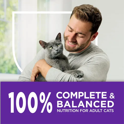 Miniatura 9 de aAimento seco para gatos Purina Cat Chow Naturals, Suave