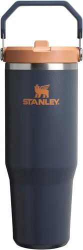 Miniatura 101 de Stanley IceFlow - Vaso con pajilla abatible con asa, de 20 onzas, tapa giratoria y popote abatible, botella de agua resistente a fugas, acero