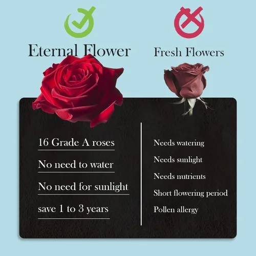 Miniatura 6 de 16 rosas preservadas en caja en forma de corazón, flores para entrega Prime que duran hasta 2 años, flores reales eternas para esposa, novia, madre
