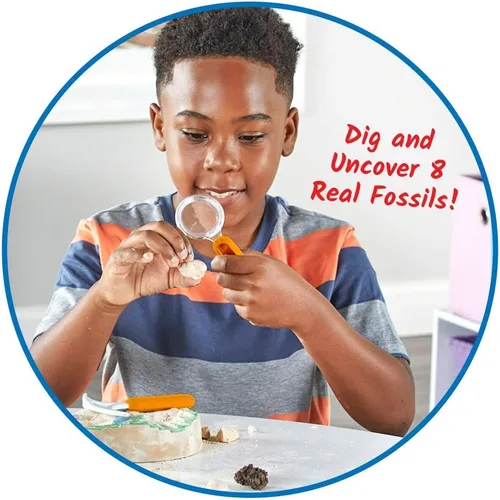 Miniatura 3 de hand2mind - Kit de excavación de fósiles para excavar y exhibir, vitrina de fósiles, 8 fósiles reales para descubrir, kits de excavación para niños
