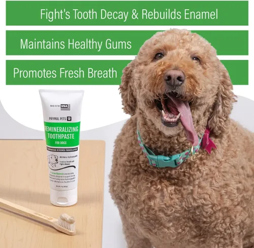 Miniatura 2 de Cepillo de dientes para perros I Paquete de 4 cepillos de dientes de bambú de dos caras para perros y gatos pequeños y grandes, cerdas suaves suaves
