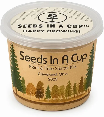 Arce Japonés | Kit de cultivo de semillas | Seeds in A Cup