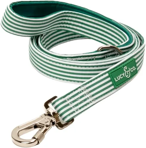 Miniatura 8 de Correa para perros de diseño Lucy & Co. - Accesorios para mascotas - Correa gruesa para perros - Asa acolchada para mayor comodidad - Entre