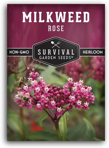 Rose Swamp Semillas de algodoncillo para plantar, paquete con instrucciones para cultivar flores silvestres Asclepias Incarnata - Atrae mariposas