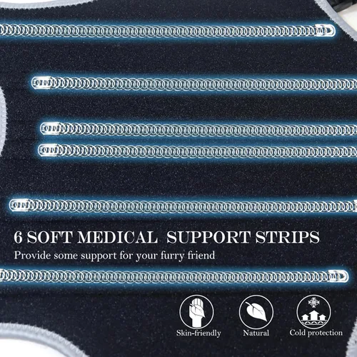 Miniatura 4 de Soporte de espalda para perro para IVDD, soporte espinal de apoyo completo con soportes metálicos para enfermedades del disco, alivio del dolor