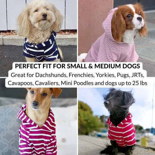 Miniatura 8 de DJANGO Sudadera con capucha para perro, cálido, ligero, suave y elástico para perro, con capucha, orificio para arnés y cintura elástica, sudadera