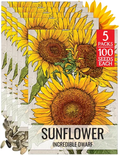 Miniatura 11 de Seed Needs Semillas de girasol para plantar girasoles de manchas solares enanas, semillas de flores de corte anual de polinización abierta