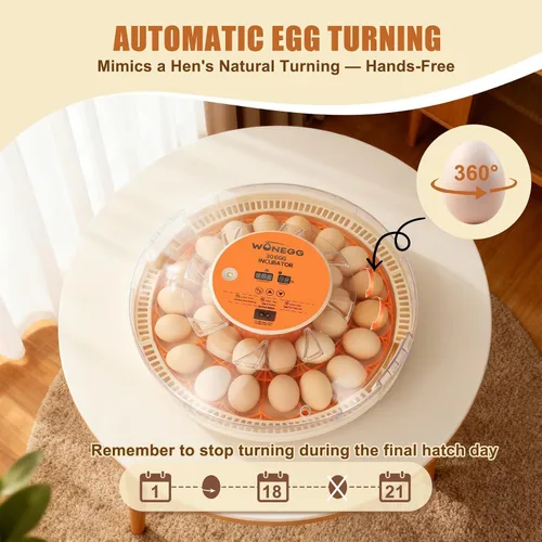 Miniatura 2 de Gen IV - Incubadora de 30 huevos, humedad de amplio rango con llenado manual de agua, control de temperatura estable, ranuras para huevos de doble