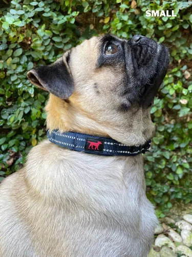 Miniatura 9 de Tuff Pupper Collar de perro resistente con asa Collar de nailon balístico resistente Collar de perro acolchado reflectante con hardware Azul