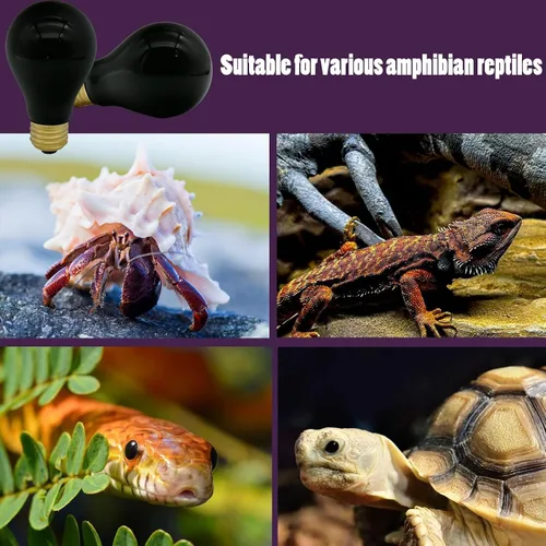 Miniatura 6 de Lámpara de calor de reptil de 75 W, bombilla de calor nocturno simulada naturaleza luz de luna, bombillas moradas, anfibios para foco de luz de sol