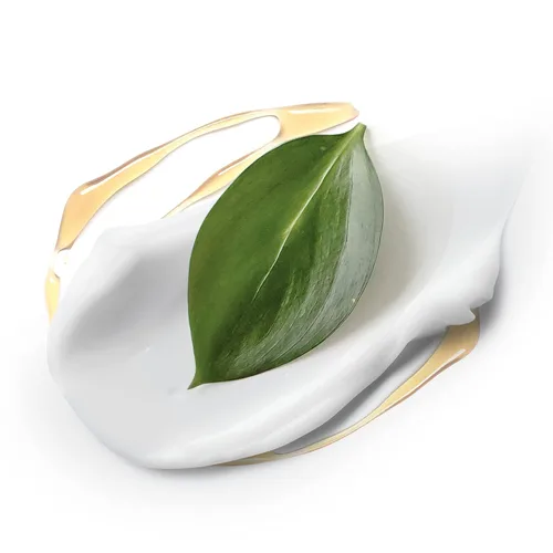 Miniatura 12 de Dove Care by Plants - Desodorante en barra para el cuidado de la piel de las axilas y protección desodorante las 24 horas, desodorante de eucalipto