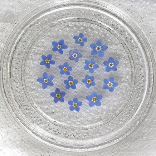 Miniatura 2 de Myosostis Sylvatica - 20 flores secas prensadas para resina, vela, resina epoxi, fabricación de jabón, álbumes de recortes, manualidades de Azul