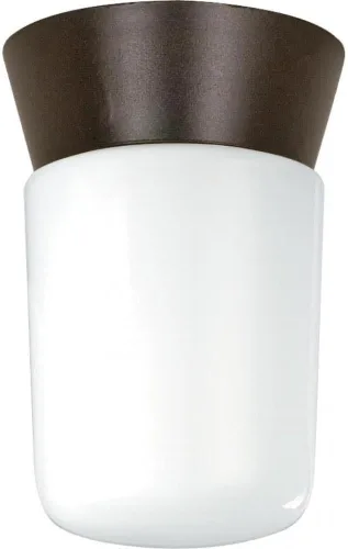 Nuvo Lighting SF77/156 - Accesorio utilitario de aluminio fundido a presión duradero al aire libre cerca del techo, porche y patio, luz con cilindro