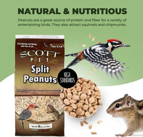 Miniatura 3 de Scott Pet Semillas para Aves Silvestres, Cacahuetes Partidos (Sin Cáscara), Bolsa de 8 libras, Gran Fuente de Proteína y Fibra, Cacahuetes para Aves