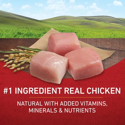 Miniatura 2 de Purina ONE SmartBlend - Alimento seco natural para perros adultos