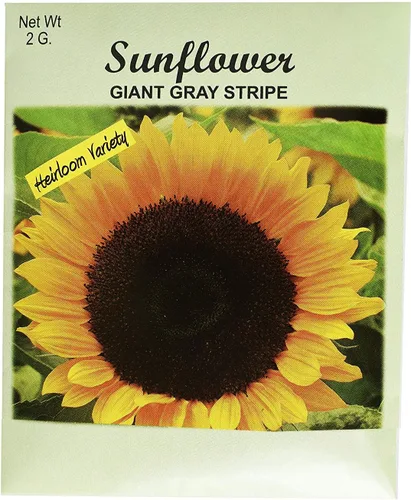 Set de 100 paquetes de semillas de flores! Semillas de flores a granel (100, girasol)