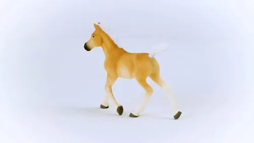 Miniatura 3 de Schleich Horse Club 2023 - Figura de juguete de caballos para niñas y niños Halflinger Foal Horse Horse Toy Figurine, a partir de 5 años