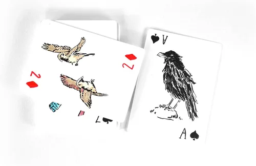 Miniatura 6 de Apostrophe Games Naipes en blanco – 54 cartas para escribir – Baraja personalizada con lujoso acabado mate – Cartas divertidas y geniales para niños