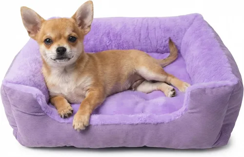 Miniatura 8 de Cama para perros pequeños, de 20 pulgadas, para perros pequeños, cama rectangular suave para cachorros con superficie de felpa, cama lavable