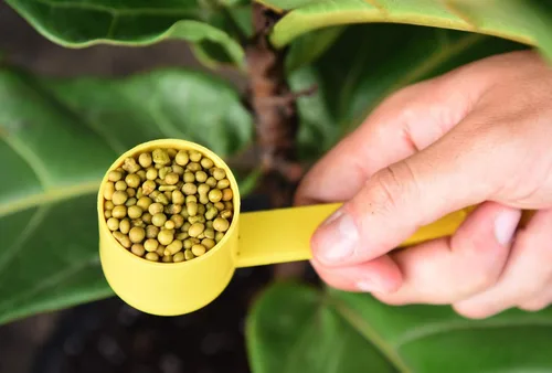 Miniatura 2 de Fertilizante de Liberación Lenta para Higuera de Hoja de Violín de Perfect Plants - Bolsa Resellable de 5 oz. - Enriquecimiento Constante