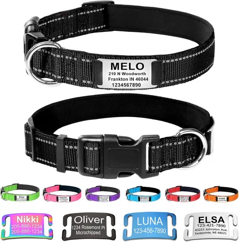 Collares de perro personalizados con placa de nombre, etiquetas de identificación grabadas con collar de nailon reflectante, collar de neopreno