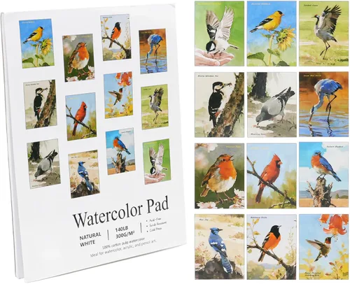 RGBMIX 12 hojas de libro de papel de acuarela de pájaros, 6 x 8 pulgadas, papel para acuarela, artes, almohadilla para colorear al agua, pintura
