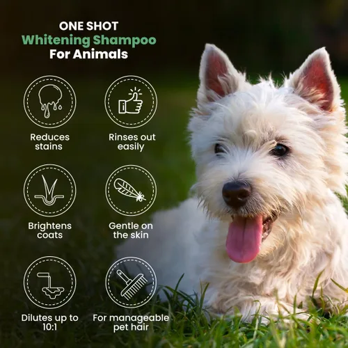 Miniatura 4 de Best Shot One Shot - Champú blanqueador, abrigo y producto para el cuidado de la piel para perros, gatos y caballos, ilumina cualquier