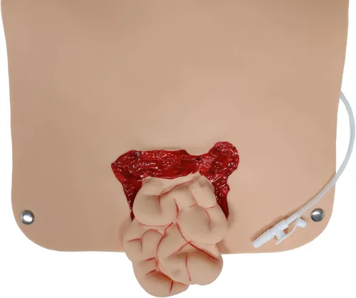 Miniatura 6 de Kit de moldeo de maniquí de trauma, juego de evaluación de trauma, módulo de quemadura/herida para primeros auxilios para el cuidado del trauma