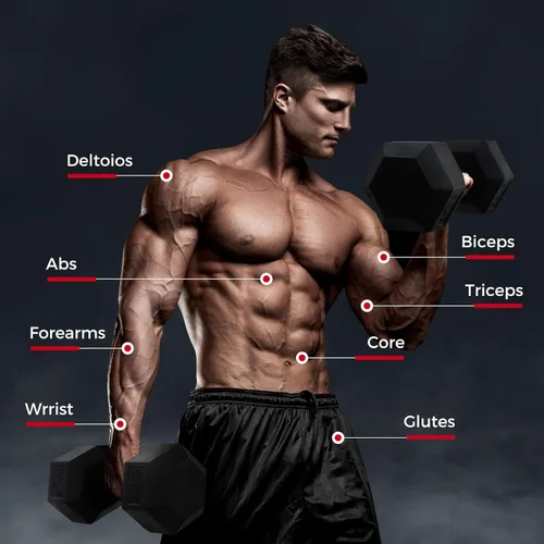 Miniatura 4 de RitFit Juego de mancuernas hexagonales con revestimiento de goma de 5 a 780 libras con estante para gimnasio en casa, entrenamiento de fuerza
