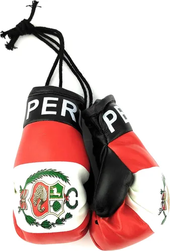 Miniatura 44 de Mini guantes de boxeo para colgar en el espejo del coche (Camerún)