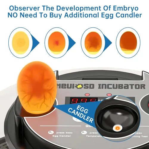 Miniatura 3 de Incubadora de huevos 12-24 con pantalla de humedad, vela de huevos, girador automático de huevos, para incubar pollos, pato, codorniz, loro Rojo