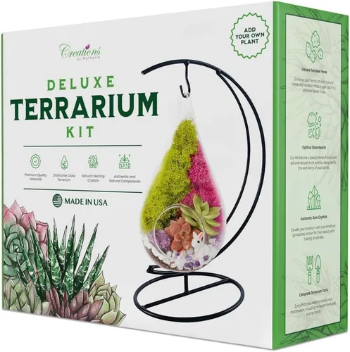 Creations by Nathalie Kit de terrario casero de 18 cm en forma de lágrima con plantas vivas - Maceta colgante de vidrio con soporte para adultos y