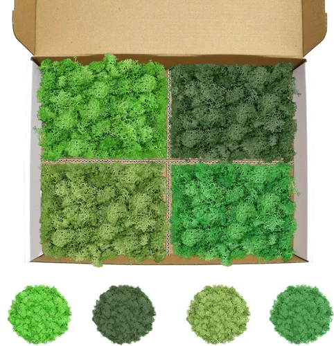 Miniatura 40 de Musgo de reno amarillo preservado de 3.5 onzas para plantas en maceta, decoración artesanal para arte de pared, musgo falso para decoración