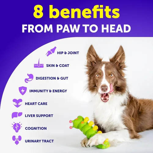 Miniatura 3 de Multivitamínico masticable para perros con glucosamina 26 en 1 - Vitaminas y suplementos para perros - Multivitamínico para perros mayores