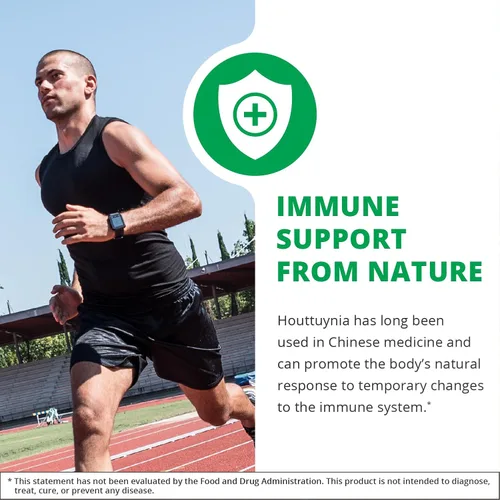 Miniatura 3 de NutraMedix Houttuynia - Tintura de apoyo gastrointestinal, inmunológico y microbiano - Ayuda con la digestión, la salud gastrointestinal