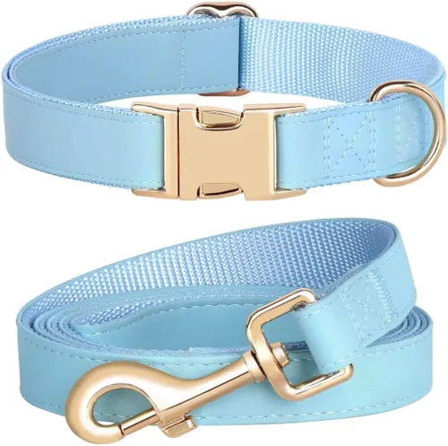 PET ARTIST Juego de collar y correa de cuero PU suave para perro, brillante y elegante juego de correa y collar de cuero PU de 5 pies, collares