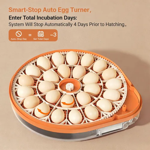 Miniatura 4 de Incubadora de huevos 26-59 con giro automático de huevos, máquina controlada por voz, control de temperatura y humedad, vela de huevos incorporada