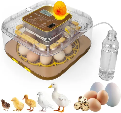 Miniatura 11 de Incubadora de 24 huevos para eclosión con volteador automático, control inteligente de temperatura y humedad, visualización de 360°, ovoscopio