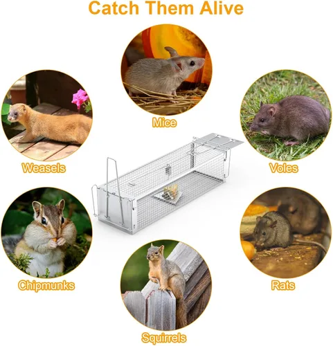 Miniatura 2 de TeqHome Trampa de jaula humana para ratas de 2 puertas, jaula de metal para animales vivos, pequeñas jaulas para roedores de liberación de capturas