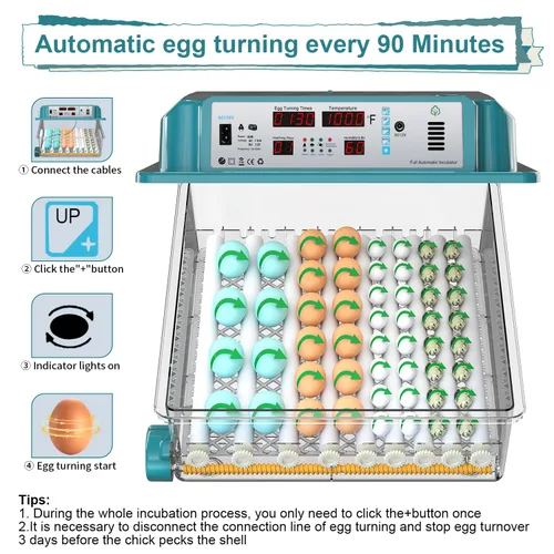 Miniatura 5 de 64 incubadoras de huevos para incubar huevos, incubadora con giro automático de huevos y humedad, incubadora de pollo con 5 modos de incubación