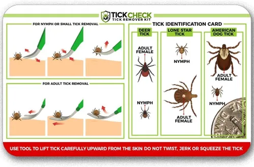 Miniatura 3 de TickCheck Kit de removedor de garrapatas de alta calidad, removedor de garrapatas de acero inoxidable + pinzas, funda de cuero y tarjeta