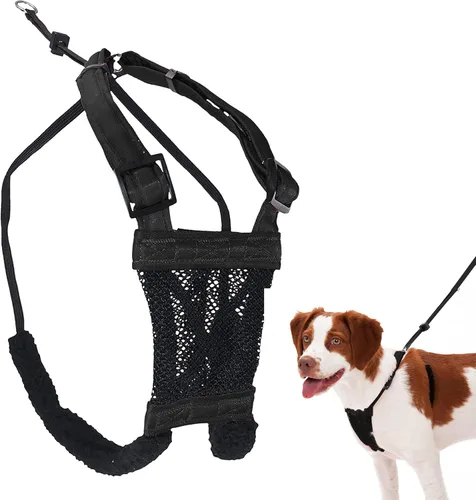 Miniatura 10 de Arnés para perro Sporn sin tirones para perros pequeños - Negro de malla, nylon resistente, transpirable, liviano, ajustable, acolchado, suave