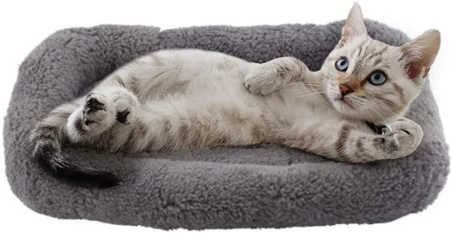 Miniatura 9 de Tapete de cama pequeño para gatos, cojín de felpa de 22 x 16 pulgadas con almohada circundante para perros pequeños a medianos, gatos, camas