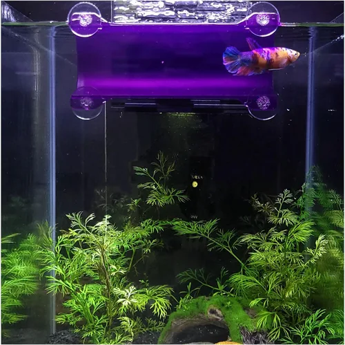 Miniatura 13 de Marca Betta Tunnel (negro opaco)