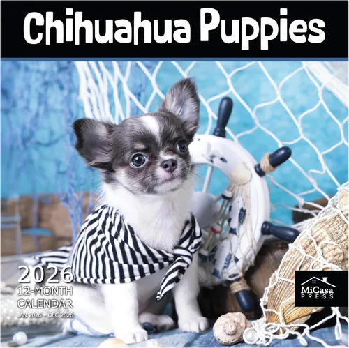 Miniatura 70 de MICASA PRESS Border Collies - Calendario de pared 2026 de 12 meses 12 x 24 pulgadas abierto Papel grueso y resistente Regalo Lindo
