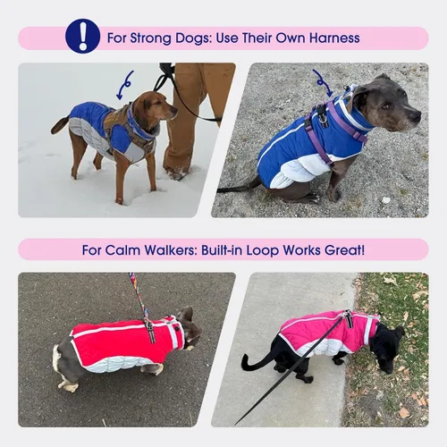 Miniatura 8 de FUAMEY - Chaqueta de invierno para perro, chaleco acolchado con arnés, ropa cálida para mascotas, abrigo con cremallera, impermeable, para perros