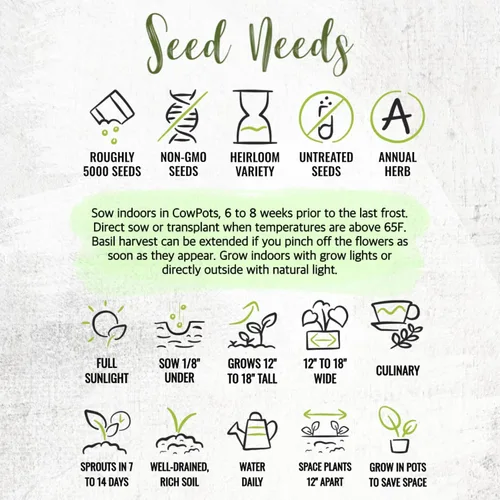 Miniatura 7 de Seed Needs Semillas de albahaca para plantar hierbas de albahaca tailandesa, reliquia sin OMG y sin tratar, cultiva un jardín de hierbas culinarias